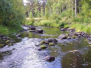 ns.Pyykkiranta Alatalonmäellä