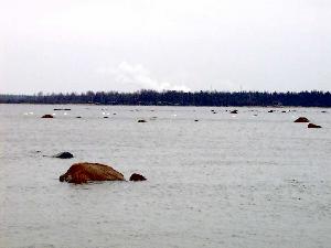 RR:n savut Piehinginjokisuulta katsottuna Joutsenet lähtöpuuhissa