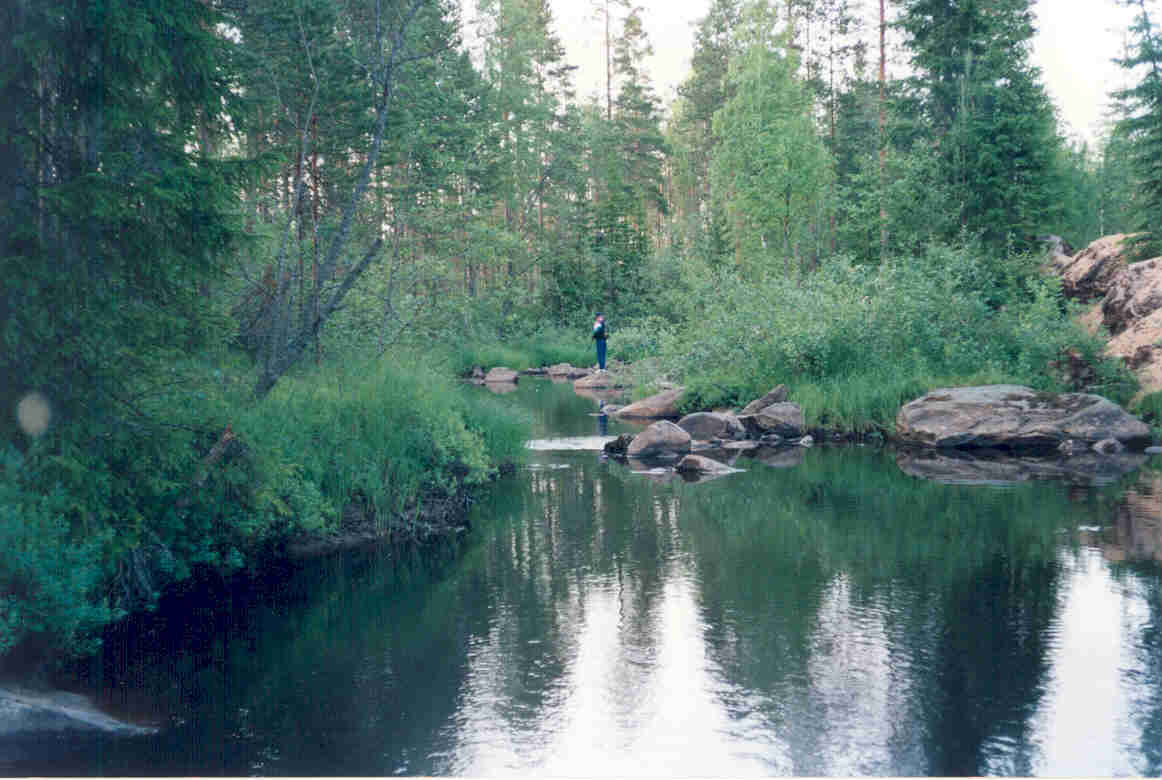 Kalastaja Piehinkijoen latvoilla