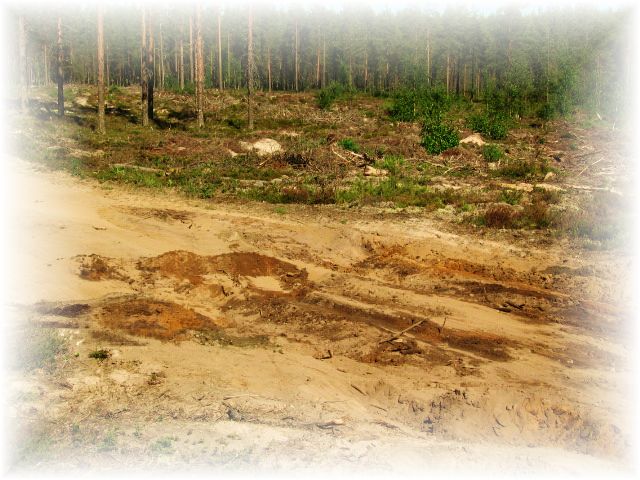 Tällainen ennen korjausta!